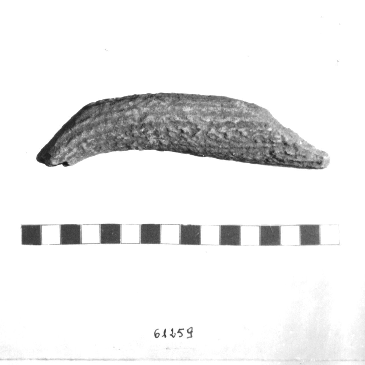 corno/ frammento (Eneolitico)