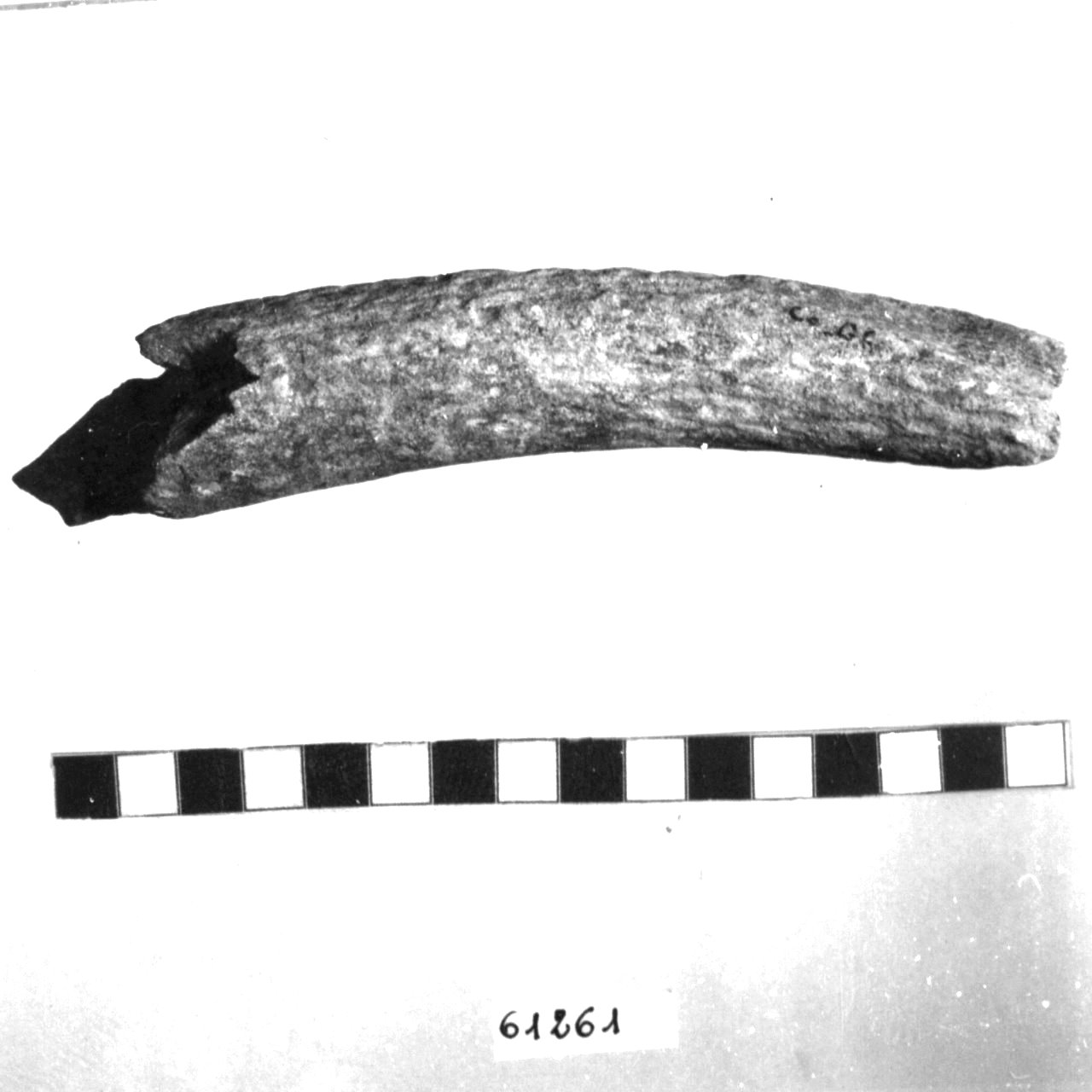 scalpello (Eneolitico)