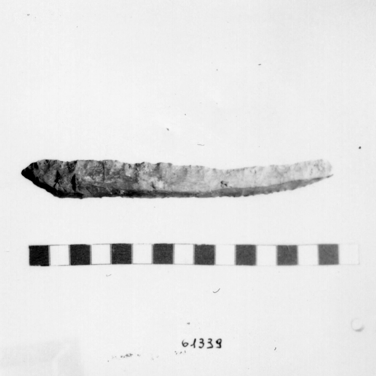 lama-raschiatoio denticolato, D2 (Eneolitico)