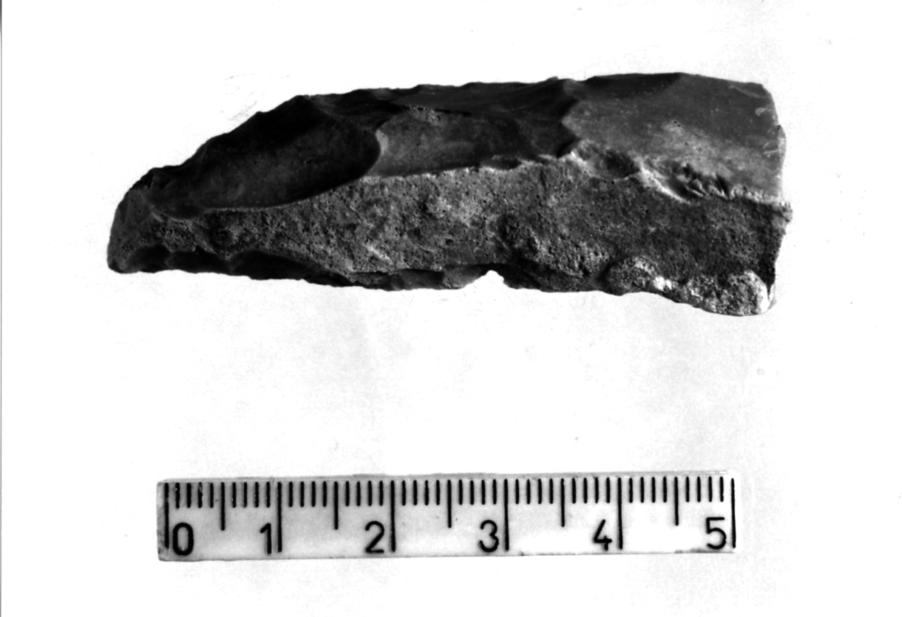 punta a doppio dorso parziale (Eneolitico)