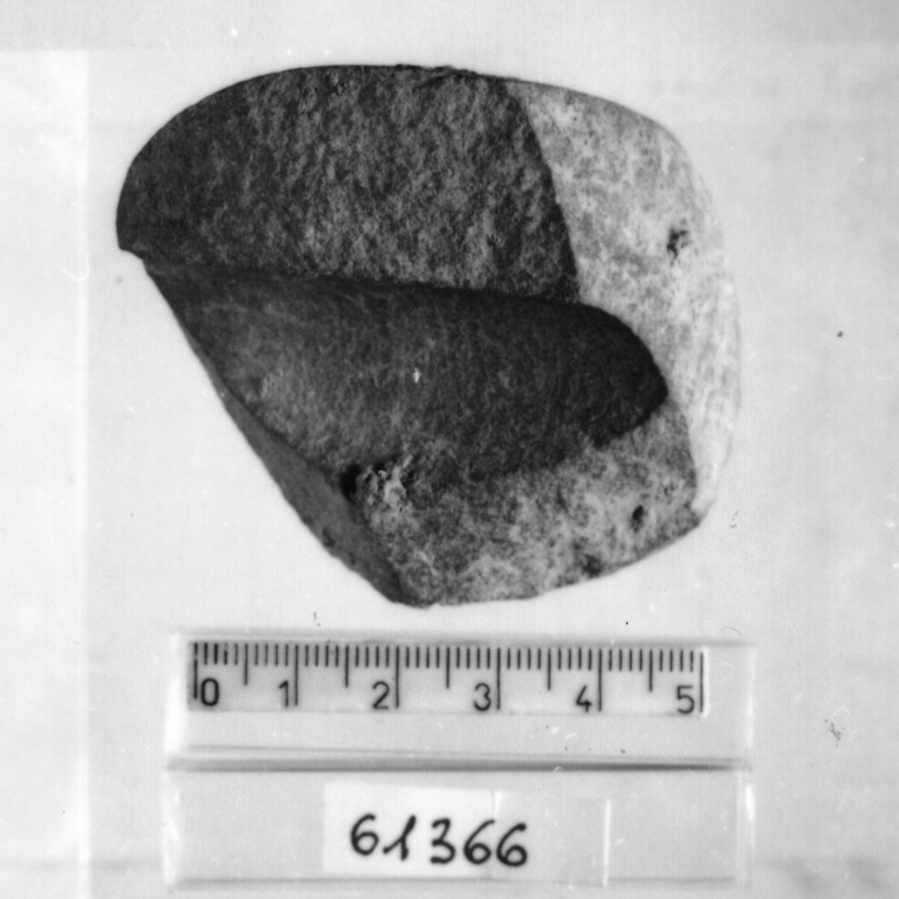 ascia-martello/ frammento (Eneolitico)