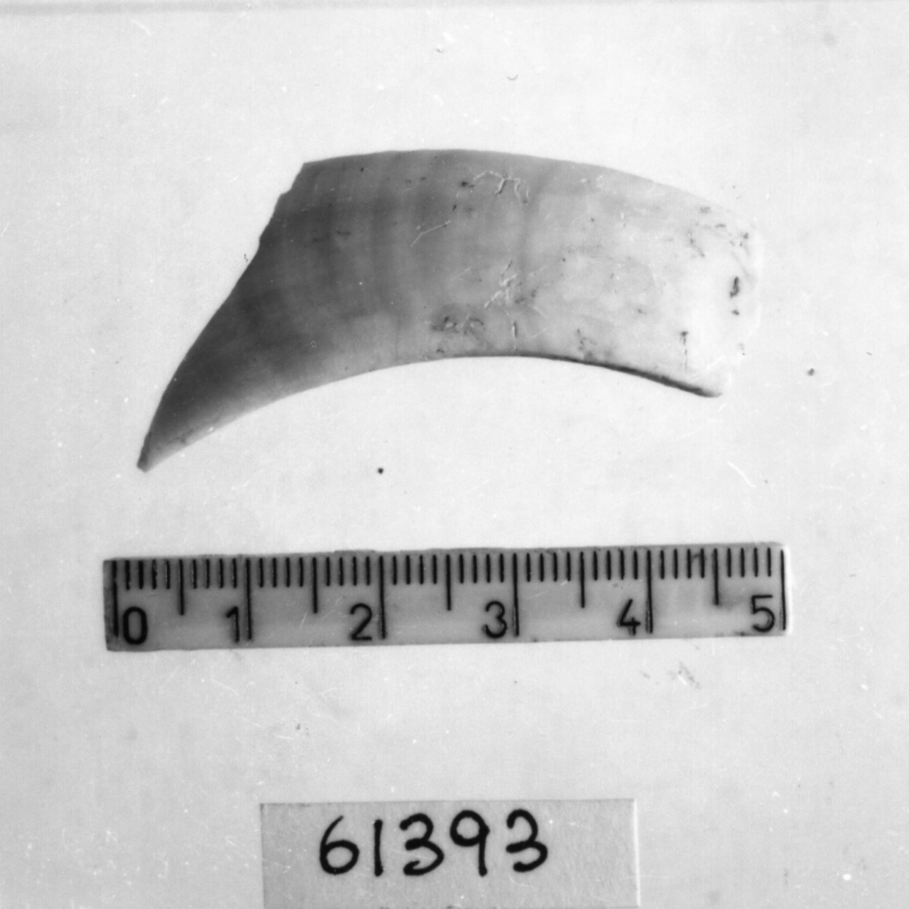 spatola/ frammento (Eneolitico)