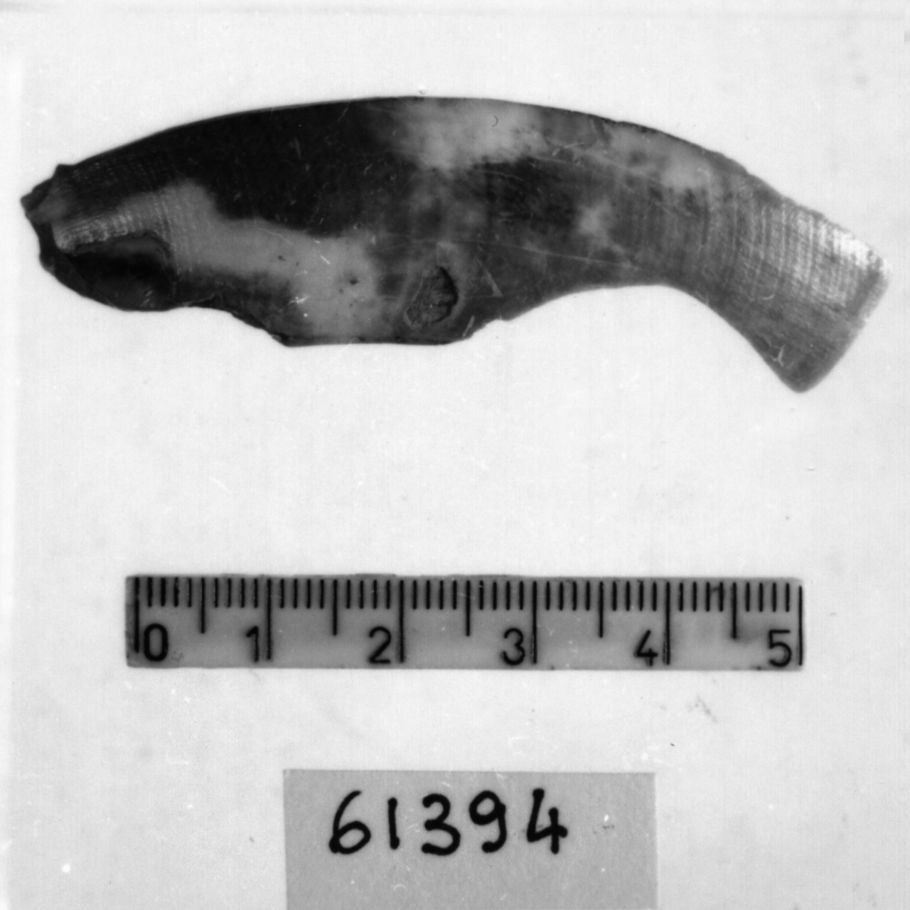 spatola/ frammento (Eneolitico)