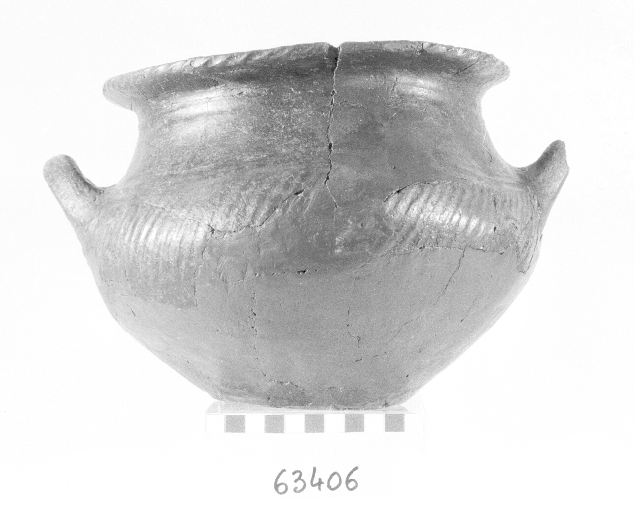 urna - Protovillanoviano (Bronzo finale)