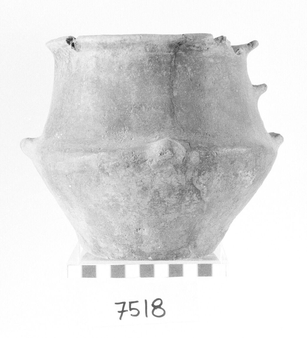 urna - Protovillanoviano (Bronzo finale)