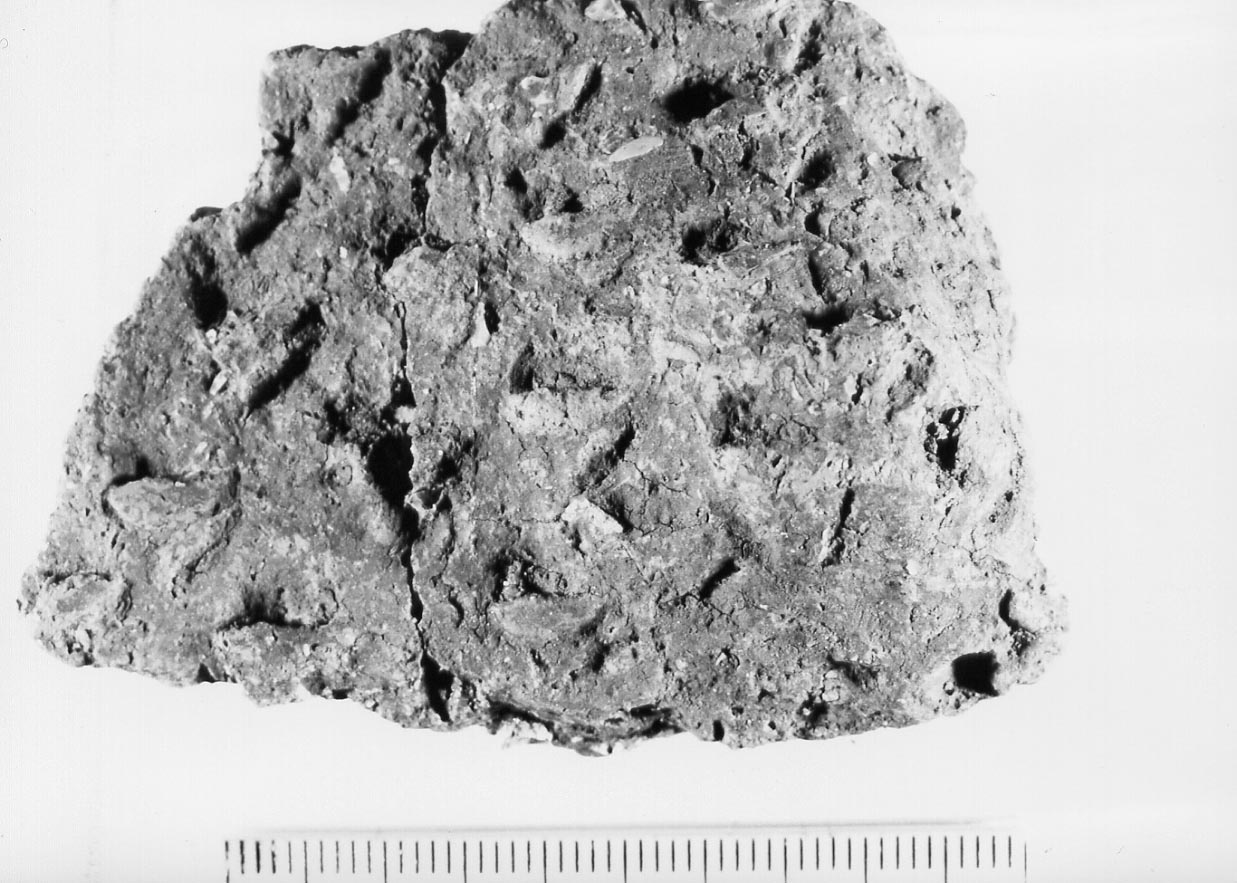 parete con bugna/ frammento (Neolitico)