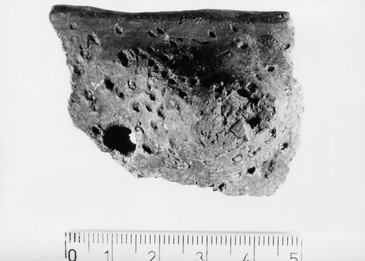 orlo/ frammento (Neolitico)