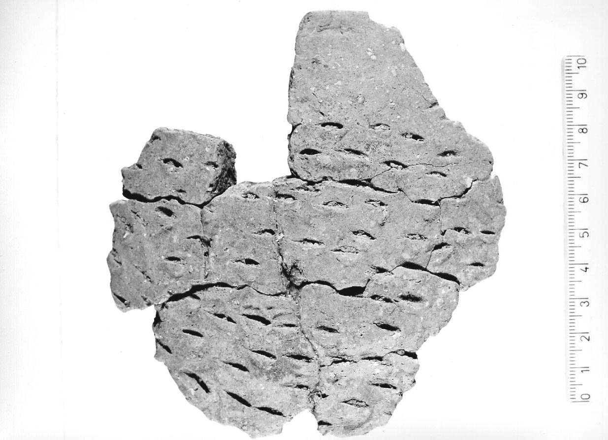 olla/ frammento (Neolitico)