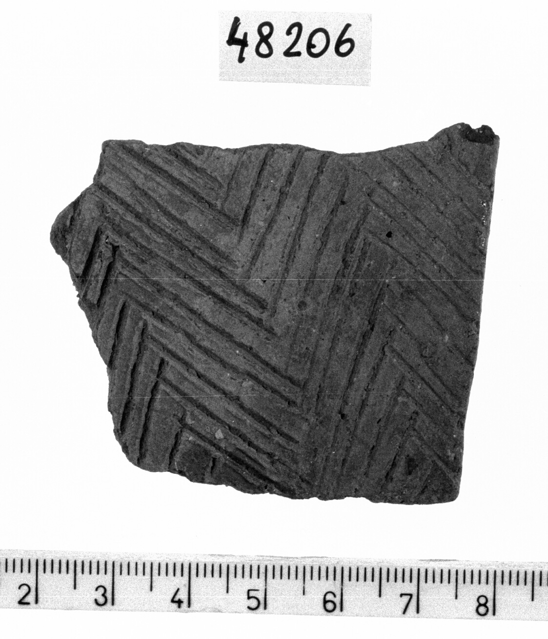 orlo/ frammento (Neolitico)