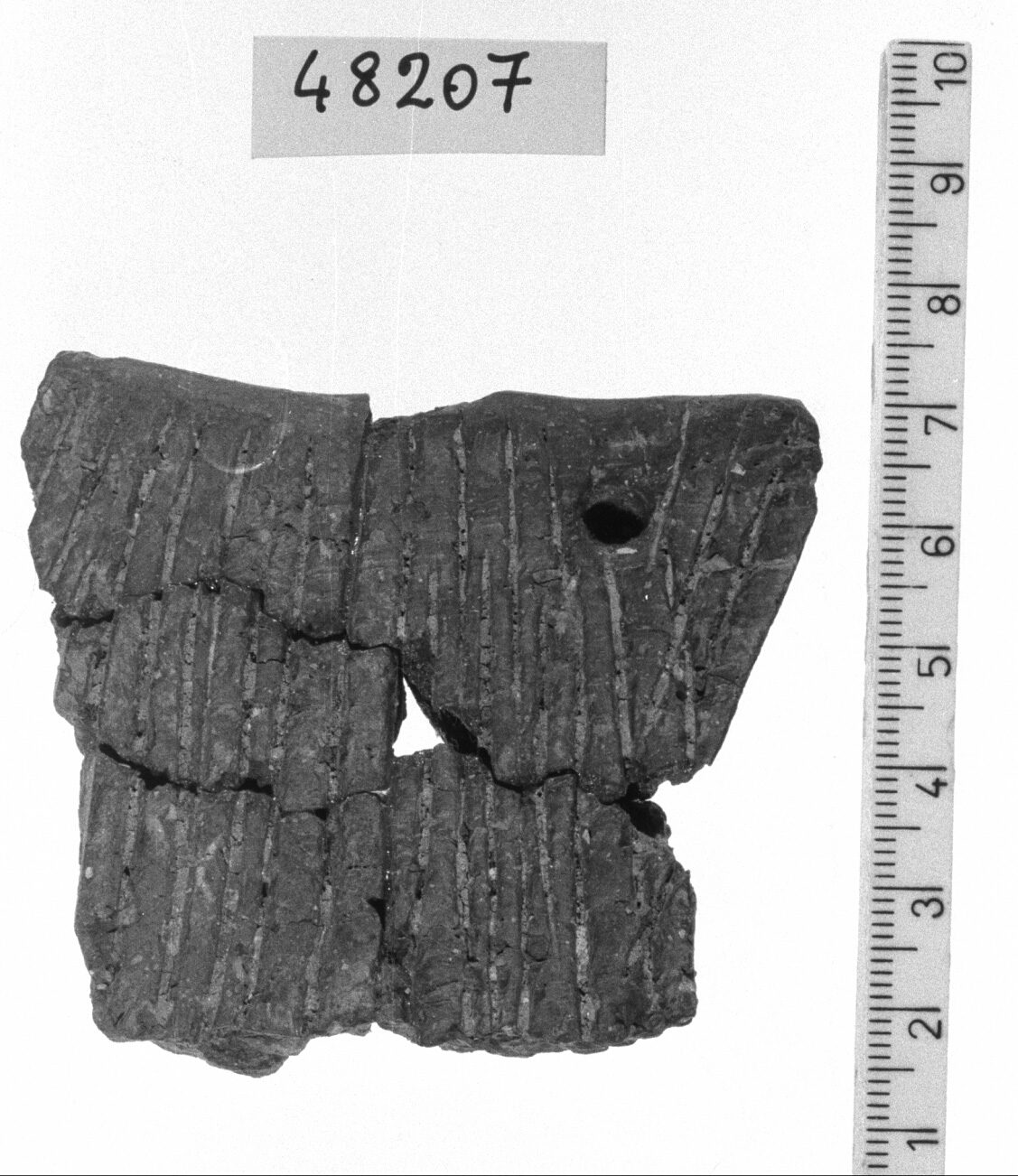 orlo/ frammento (Neolitico)