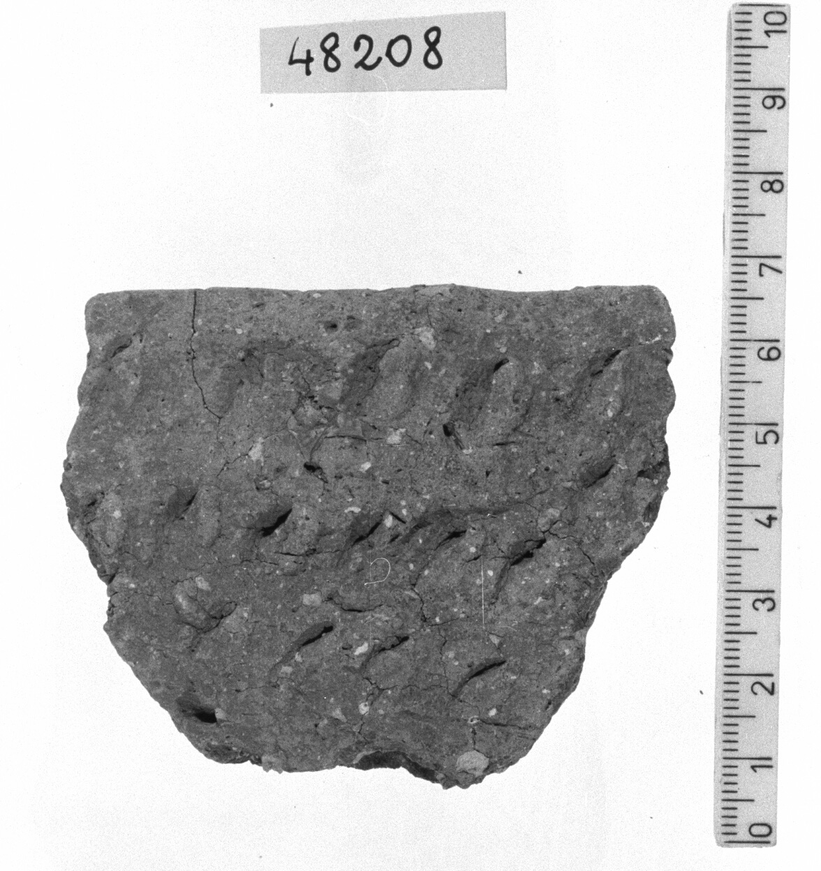 orlo di contenitore/ frammento (Neolitico)