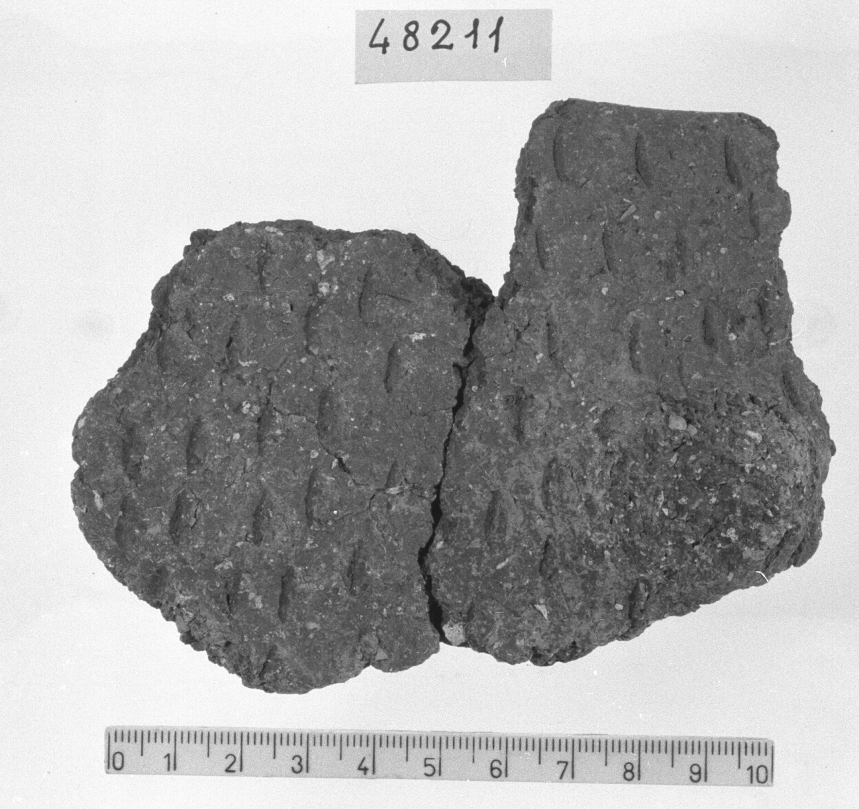 orlo e parete con bugna/ frammento (Neolitico)