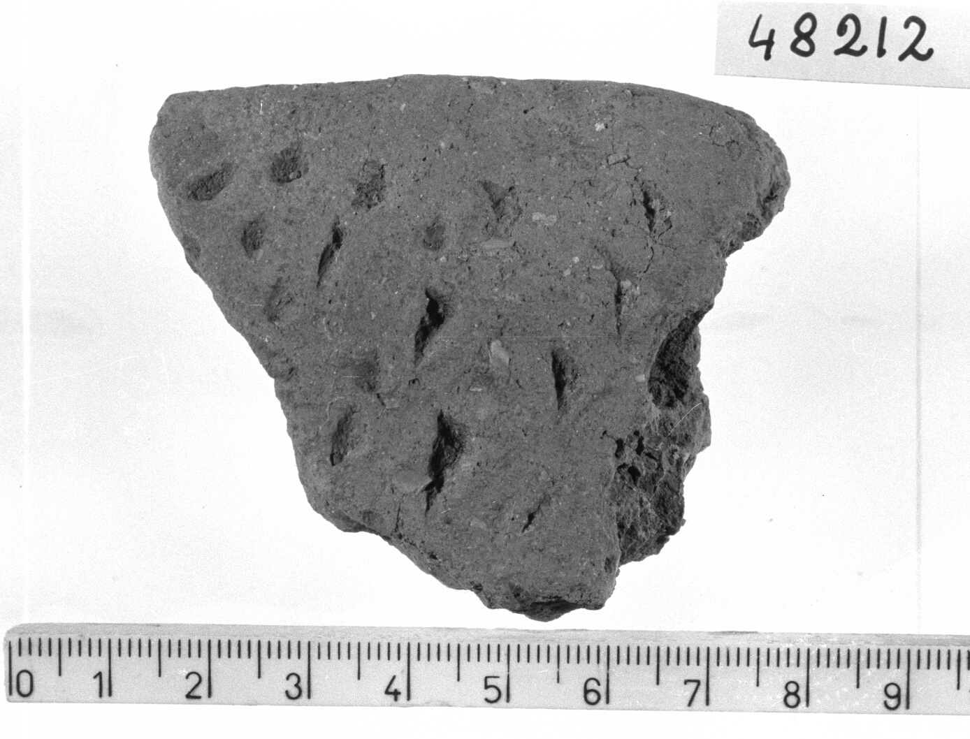 orlo di scodella/ frammento (Neolitico)
