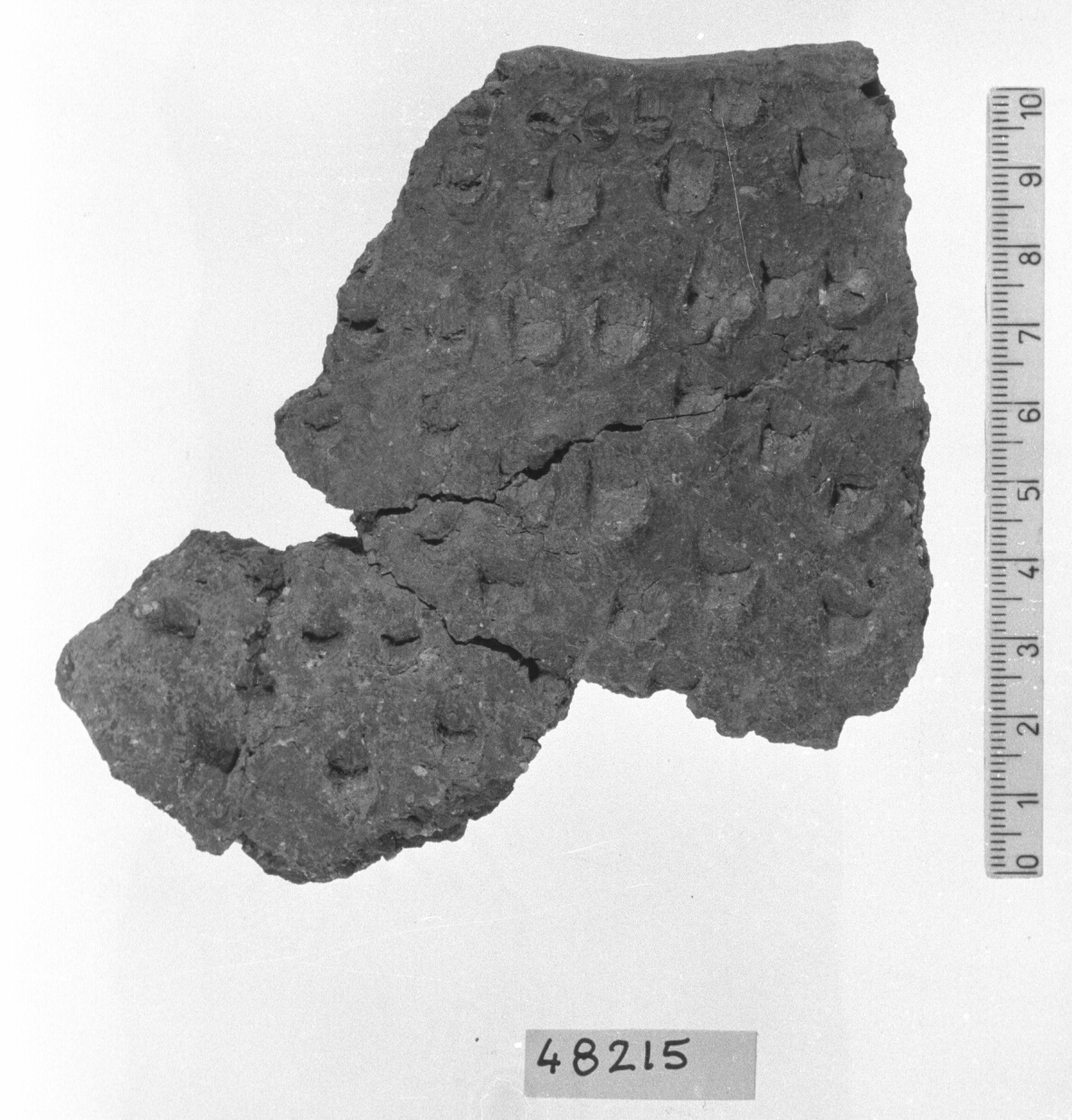 parete con orlo/ frammento (Neolitico)
