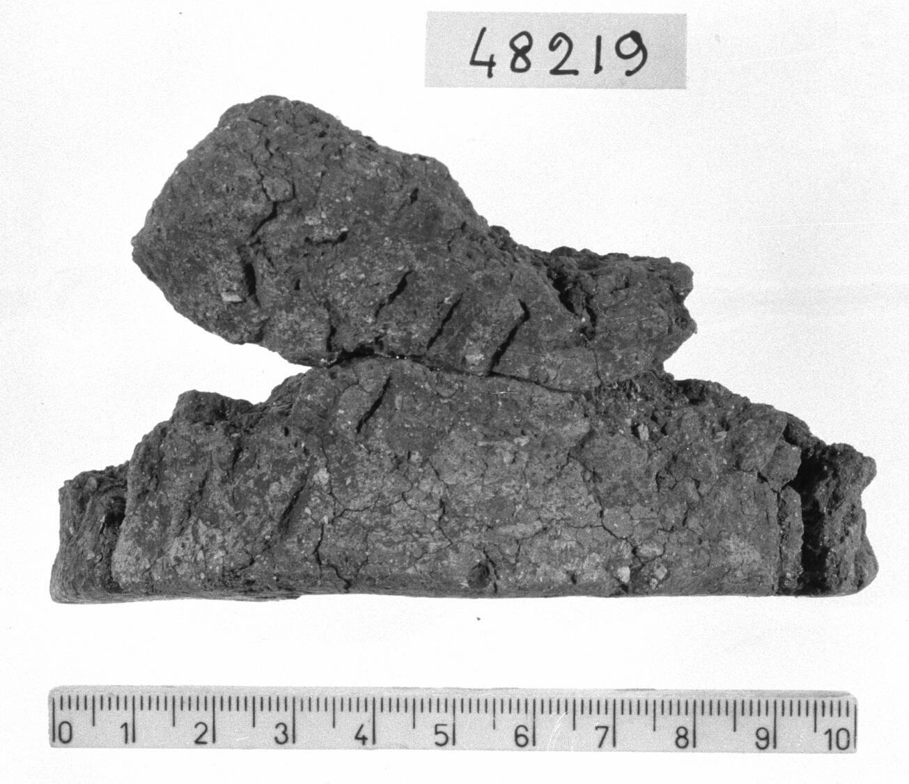 fondo/ frammento (Neolitico)