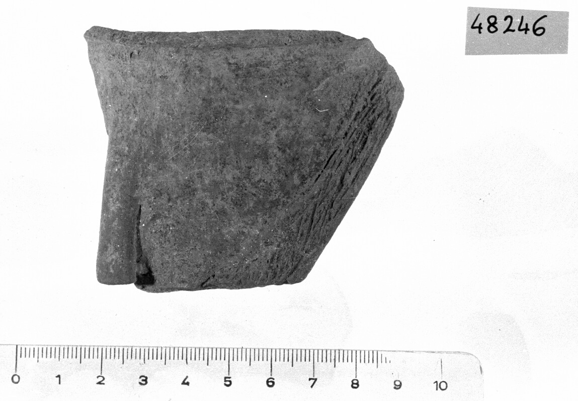 collo di vaso a fiasco/ frammento (Neolitico)