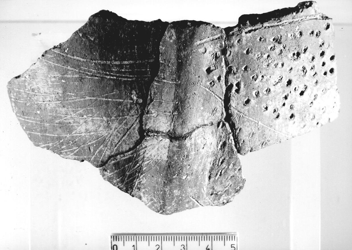 olla/ frammento (Neolitico)
