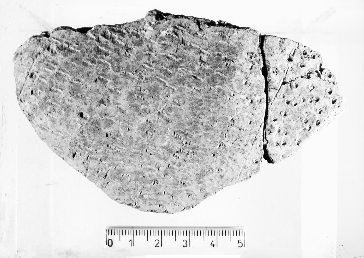 olla (?)/ frammento (Neolitico)