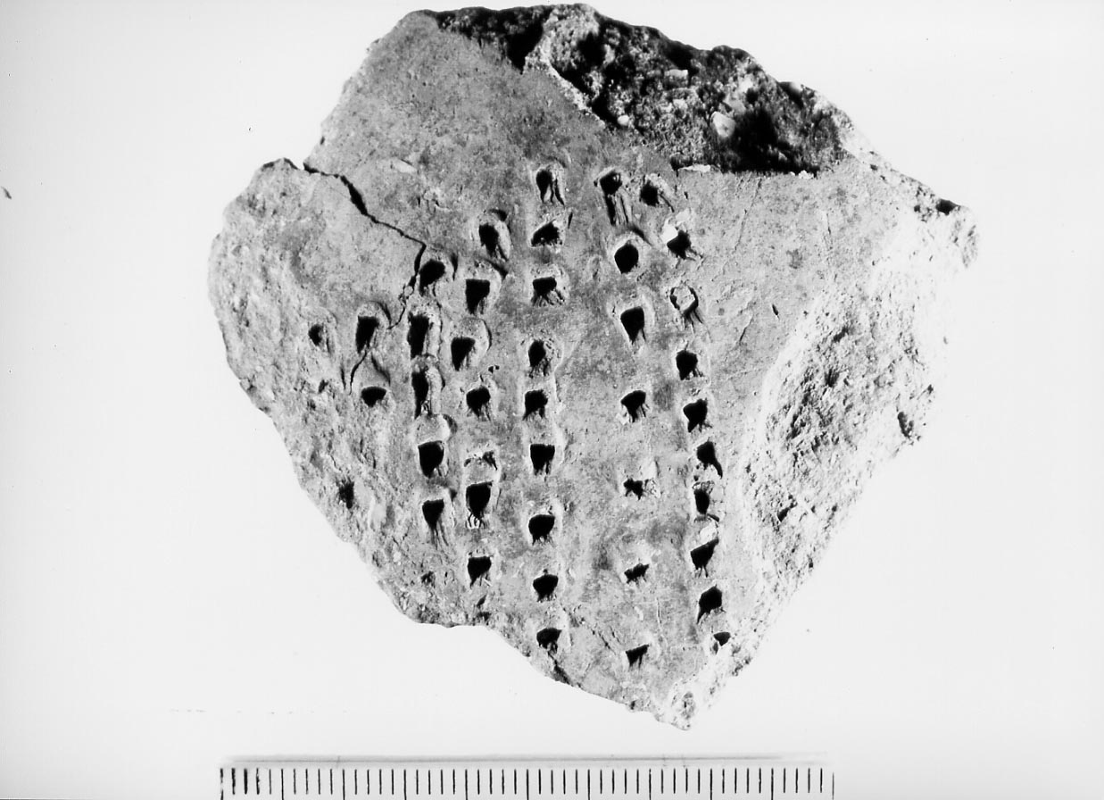 olla (?)/ frammento (Neolitico)