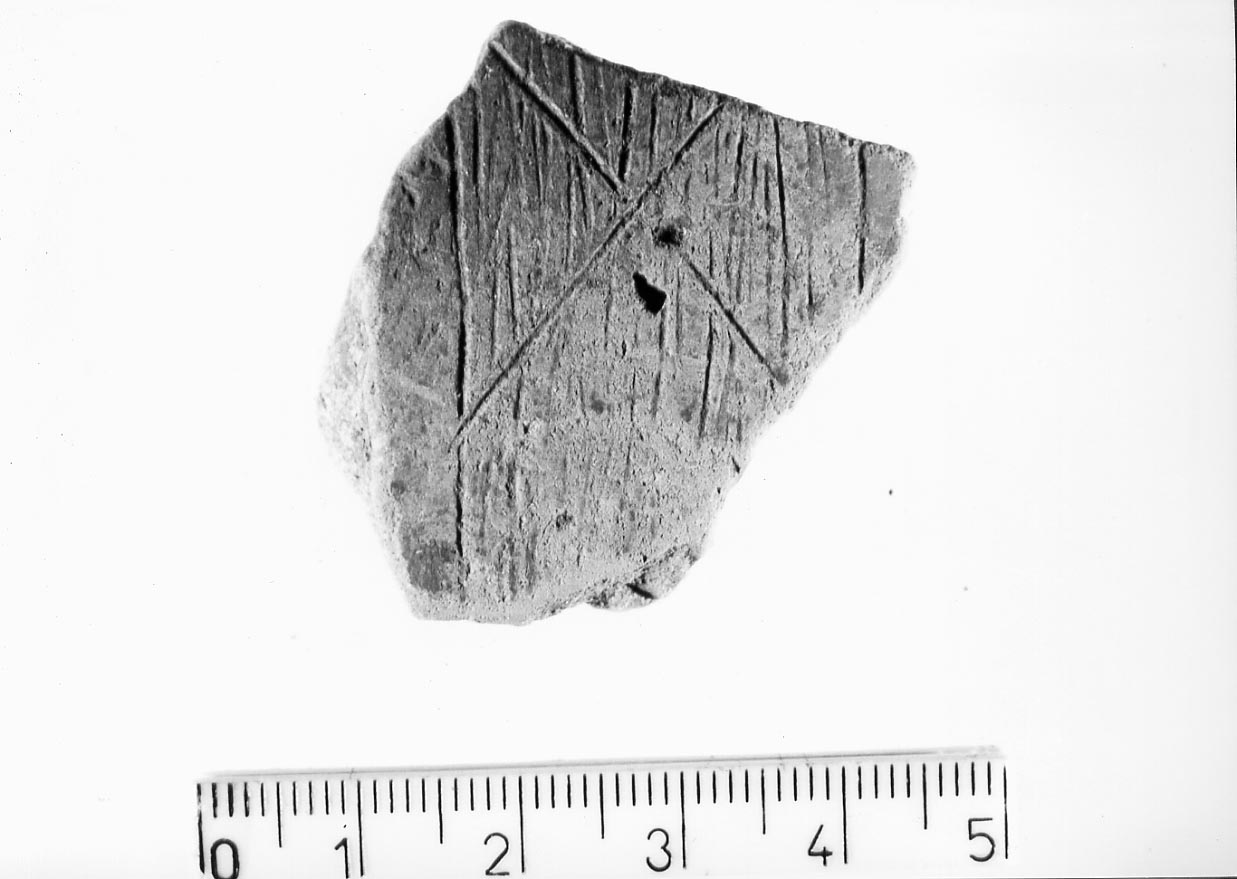 olla (?)/ frammento (Neolitico)