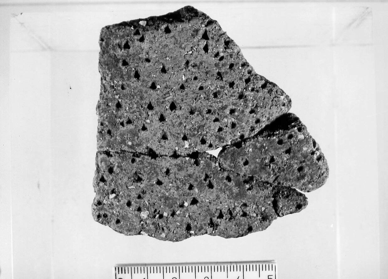 olla (?)/ frammento (Neolitico)