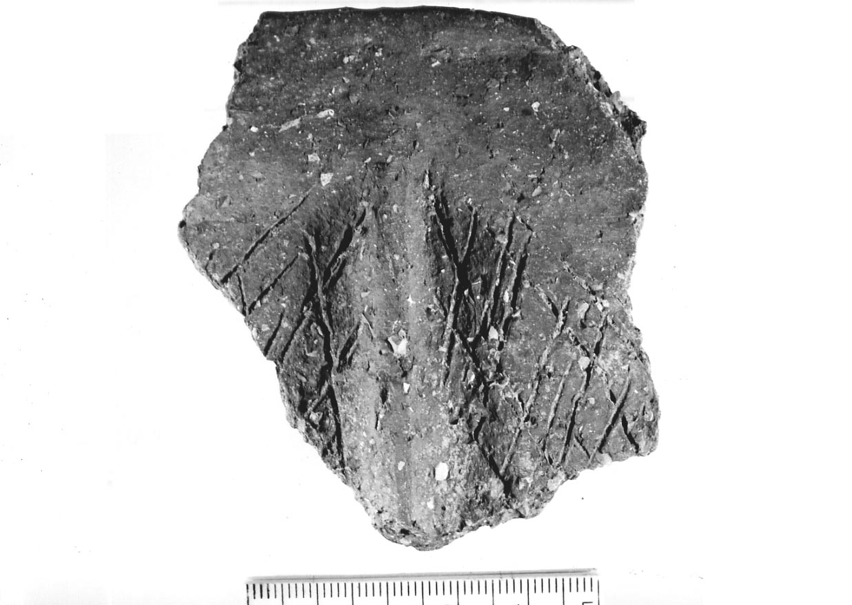 olla/ frammento (Neolitico)