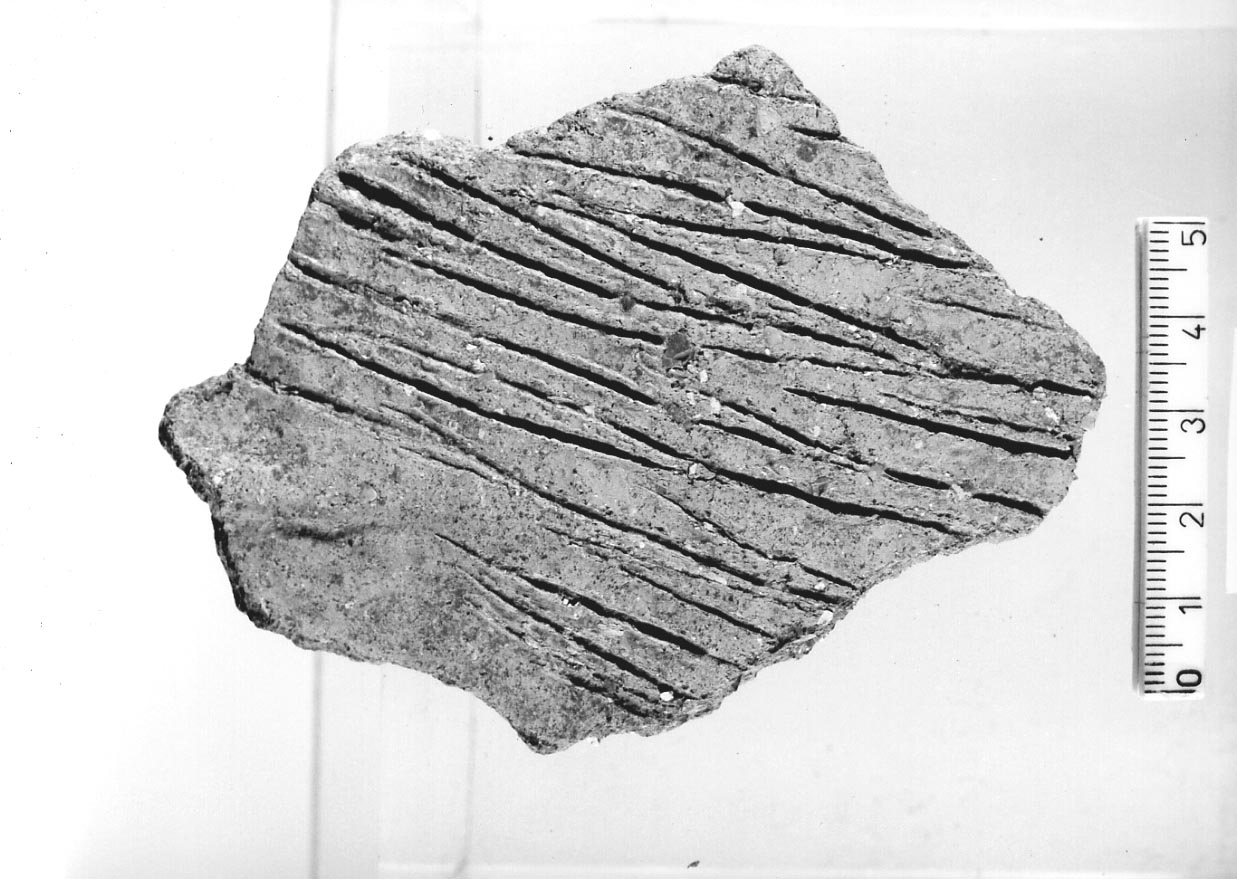olla/ frammento (Neolitico)