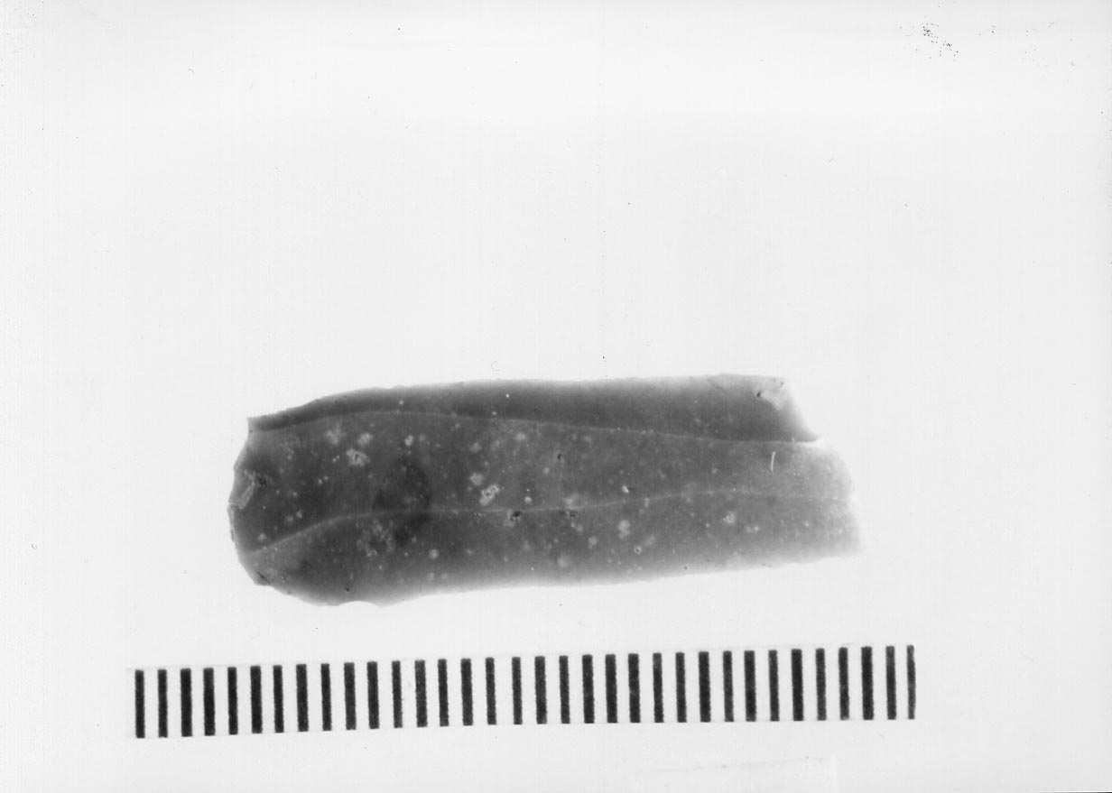 lamella non ritoccata/ frammento (Neolitico)