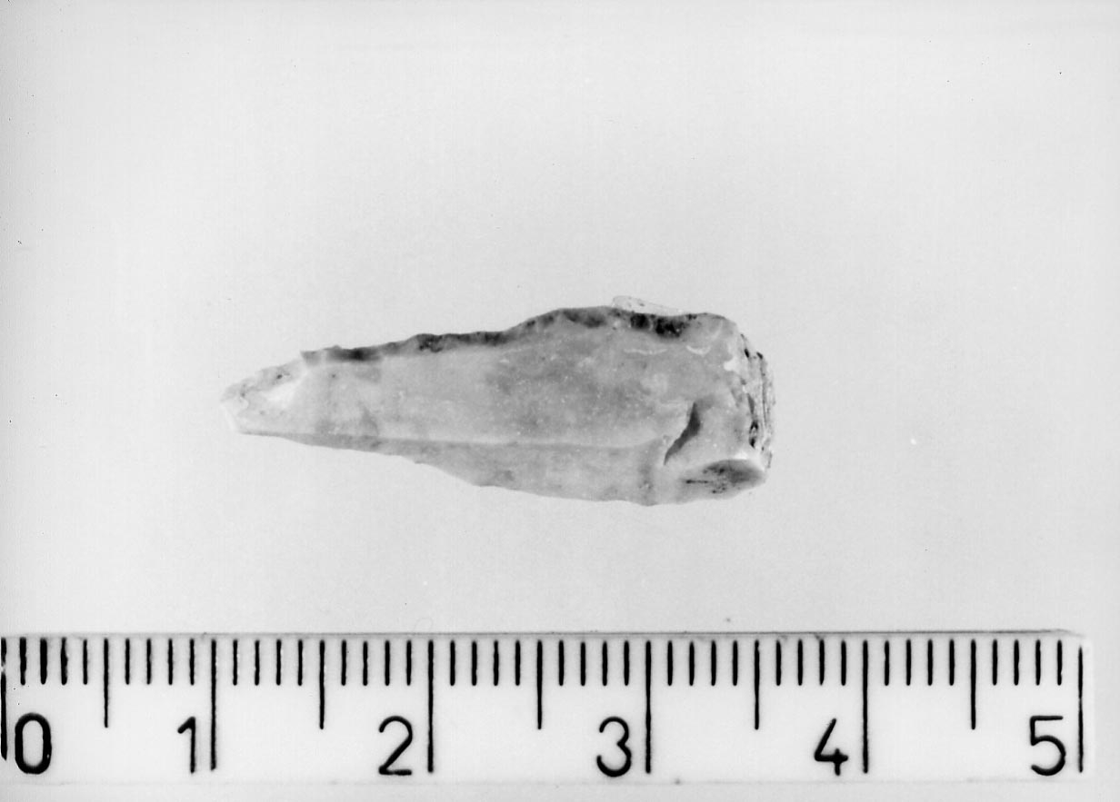 punteruolo (Neolitico)