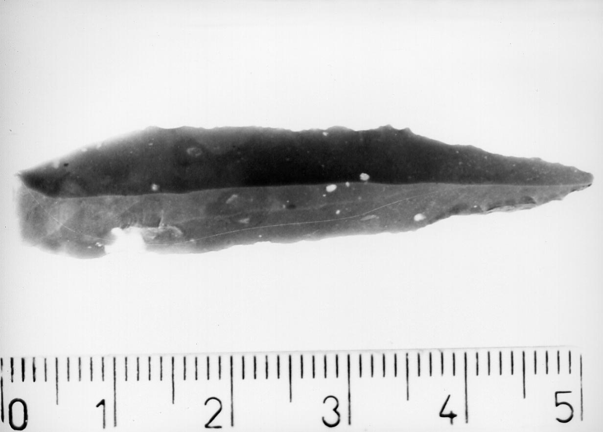 punteruolo (Neolitico)