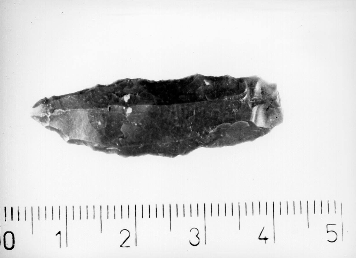 lama a dorso marginale (Neolitico)