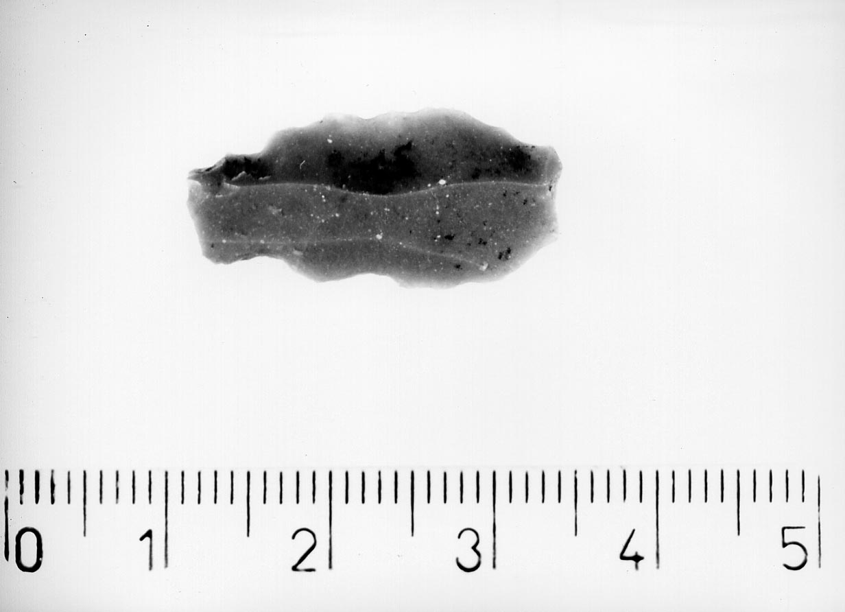 perforatore (?)/ frammento (Neolitico)