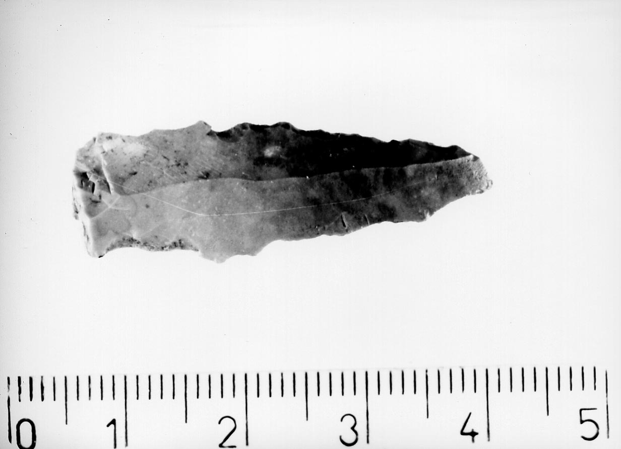 punta a dorso e troncatura (Neolitico)