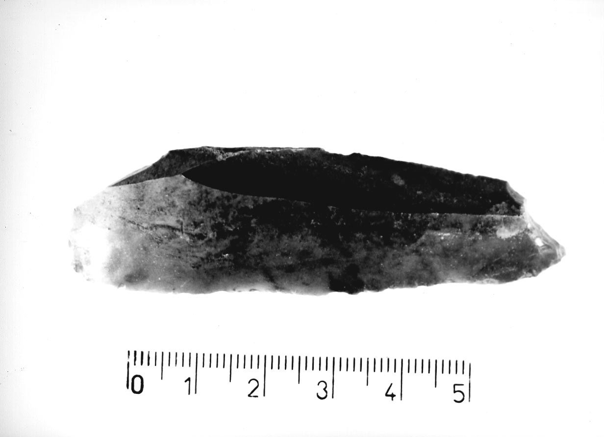 becco punta (Neolitico)