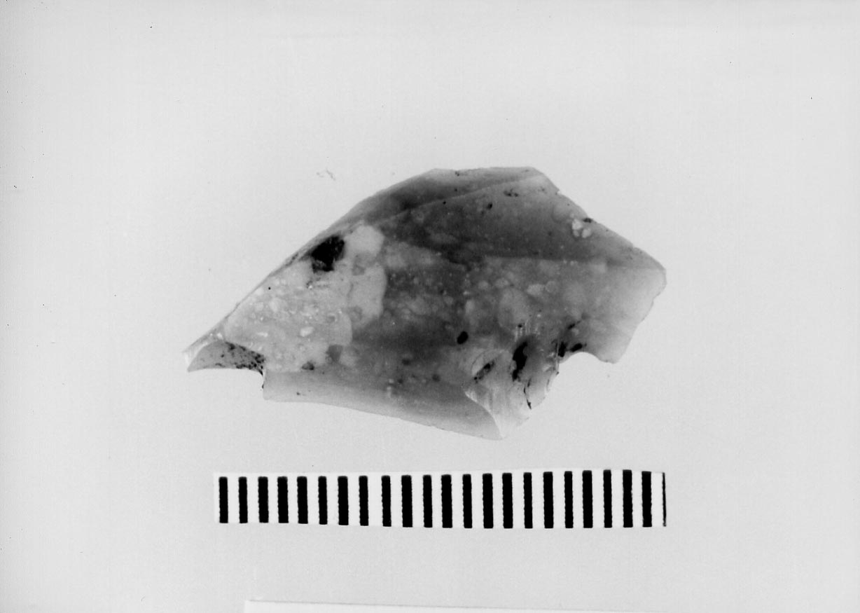 microbulino/ frammento (Neolitico)