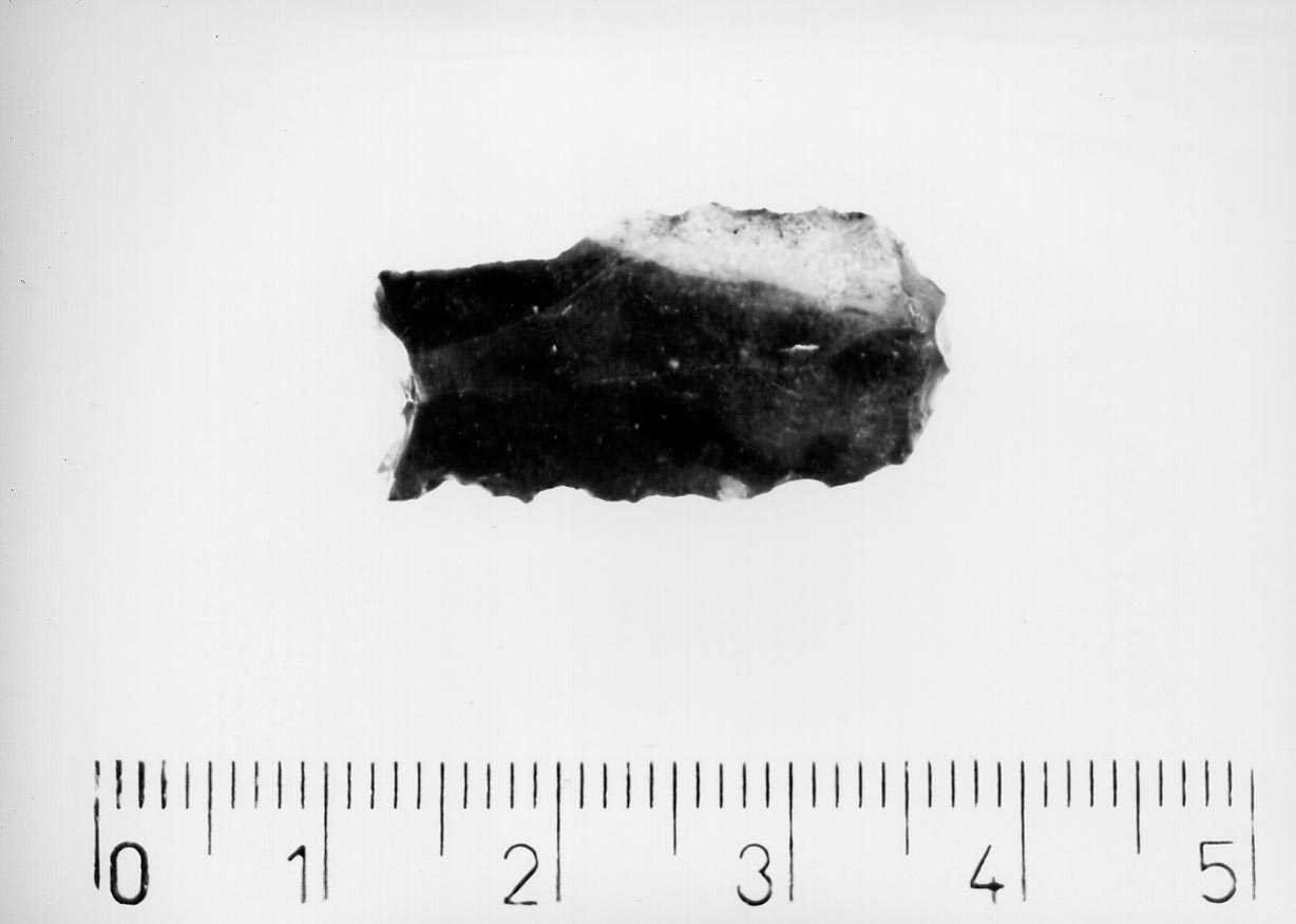 becco troncatura (Neolitico)