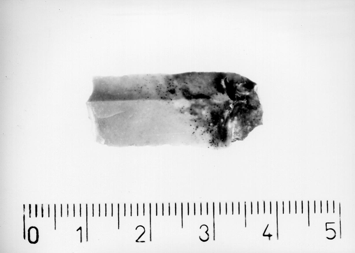 troncatura normale (Neolitico)