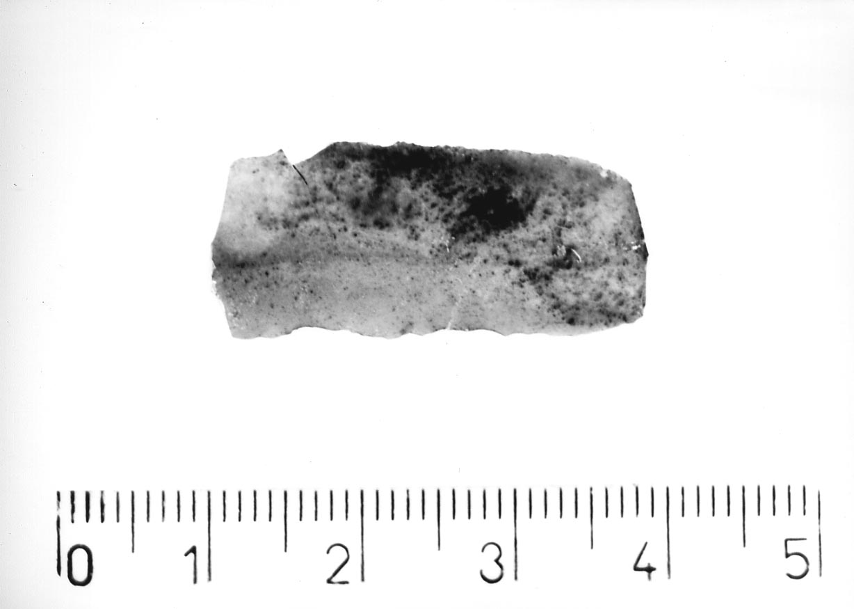lama a dorso marginale/ frammento (Neolitico)
