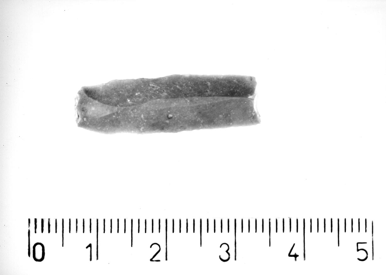 troncatura normale concava (Neolitico)