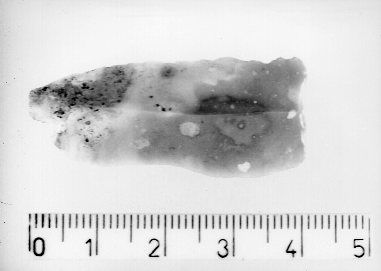 troncatura normale concava (Neolitico)