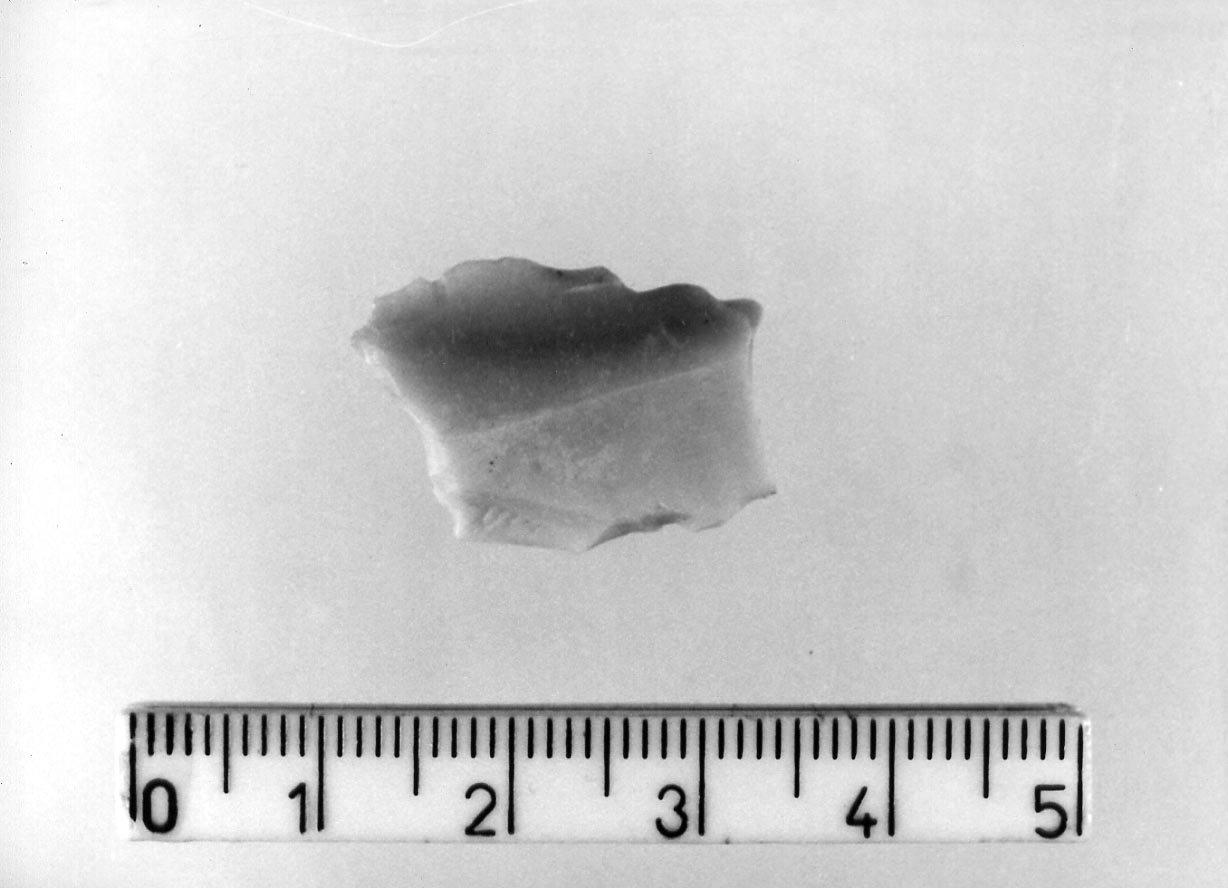 troncatura obliqua concava/ frammento (Neolitico)