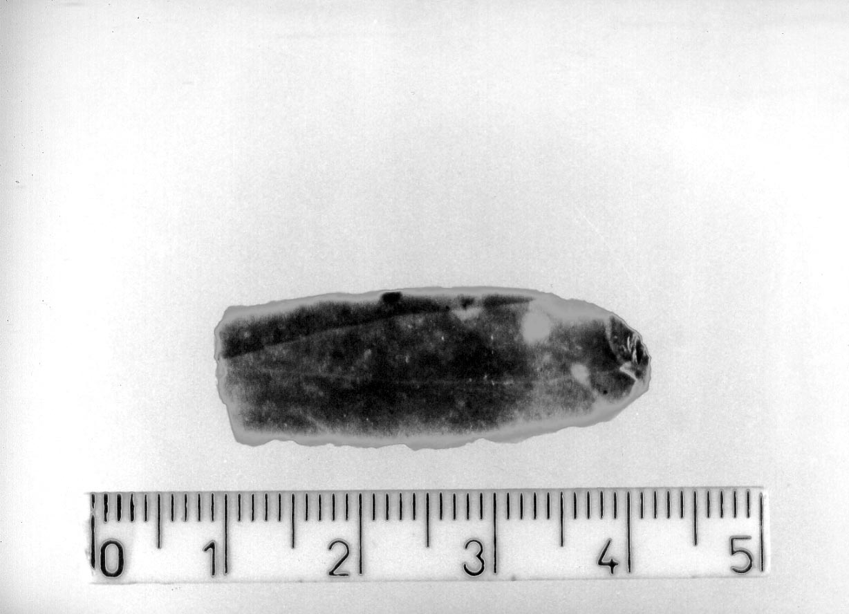 troncatura normale (Neolitico)