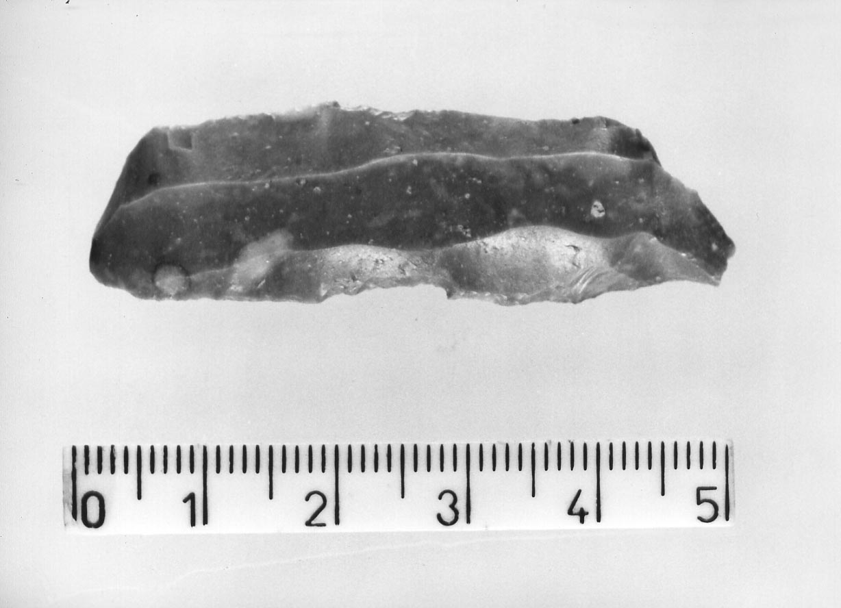 troncatura obliqua rettilinea (Neolitico)