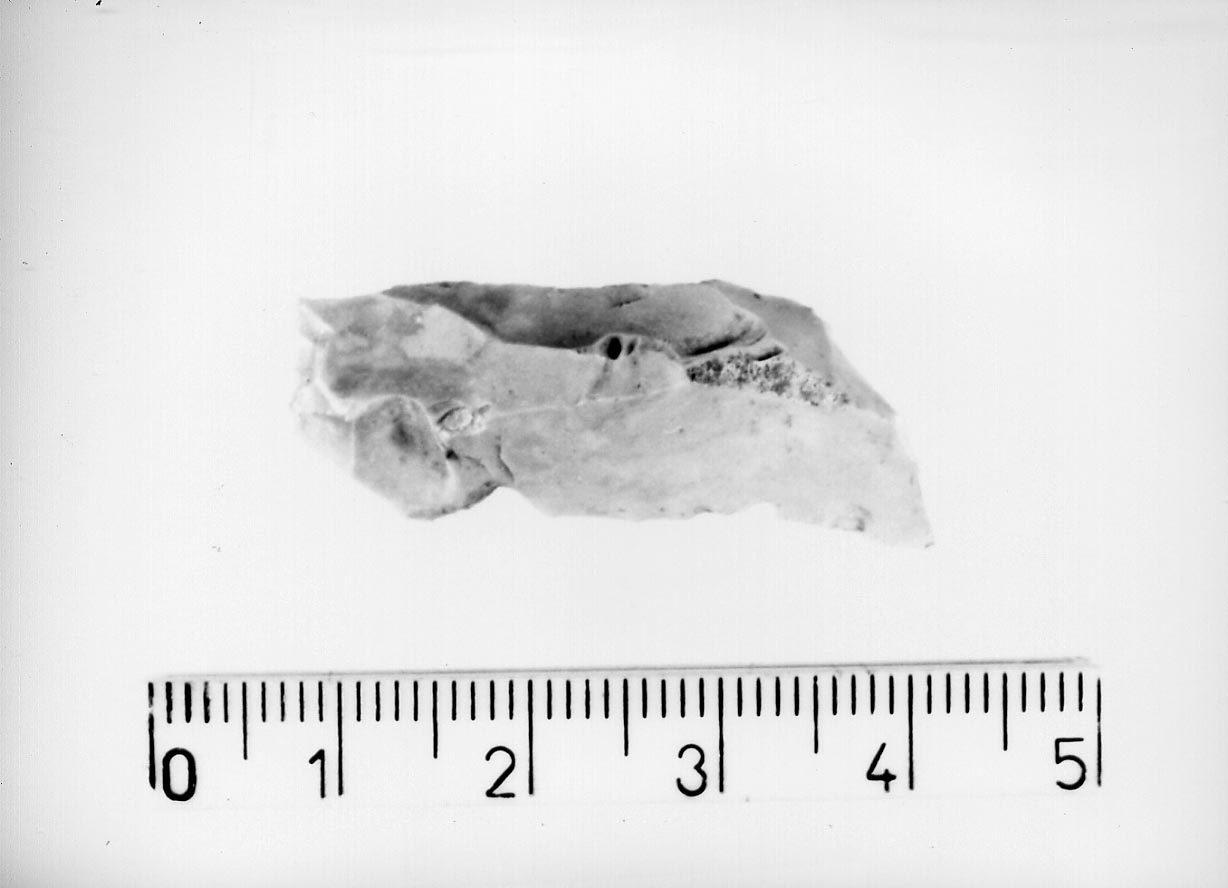 troncatura obliqua convessa/ frammento (Neolitico)