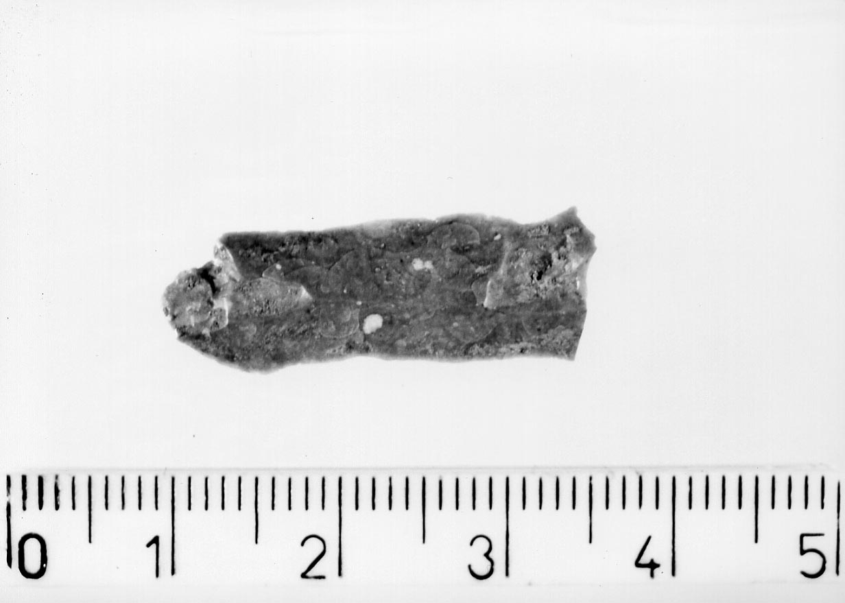 lama non ritoccata/ frammento (Neolitico)