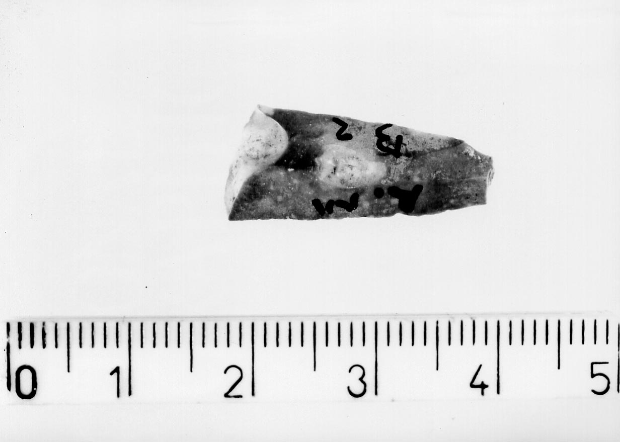 lamella non ritoccata/ frammento (Neolitico)