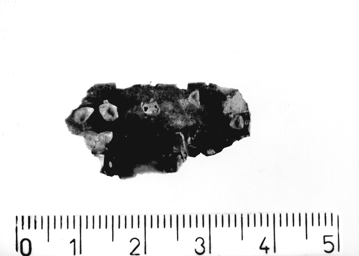 lama non ritoccata/ frammento (Neolitico)