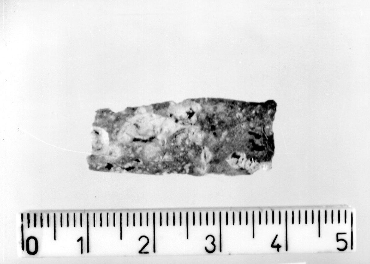 lama non ritoccata/ frammento (Neolitico)