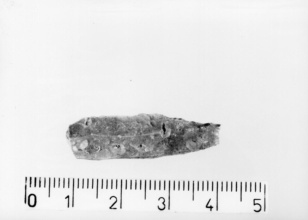 lamella non ritoccata (Neolitico)