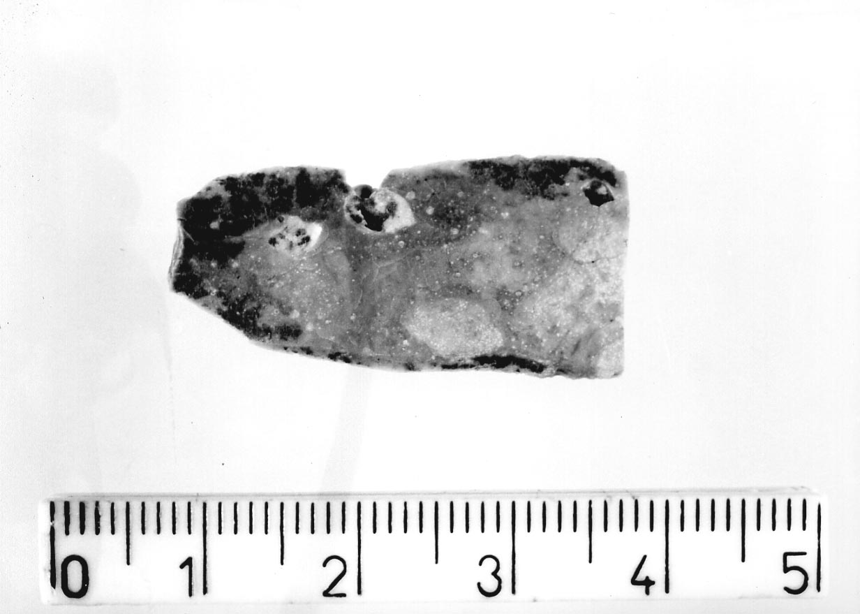 lama non ritoccata/ frammento (Neolitico)